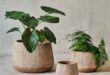 garden planter pots