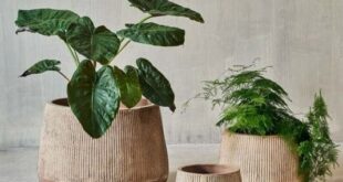 garden planter pots