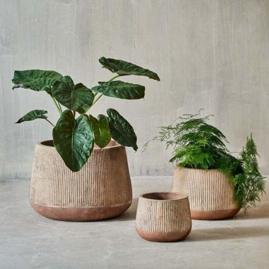 The Beauty of Garden Planter Pots