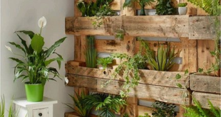 garden planters