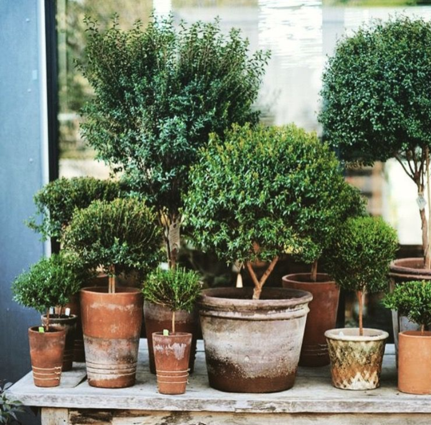 The Beauty of Garden Planters: Enhancing Your Outdoor Space