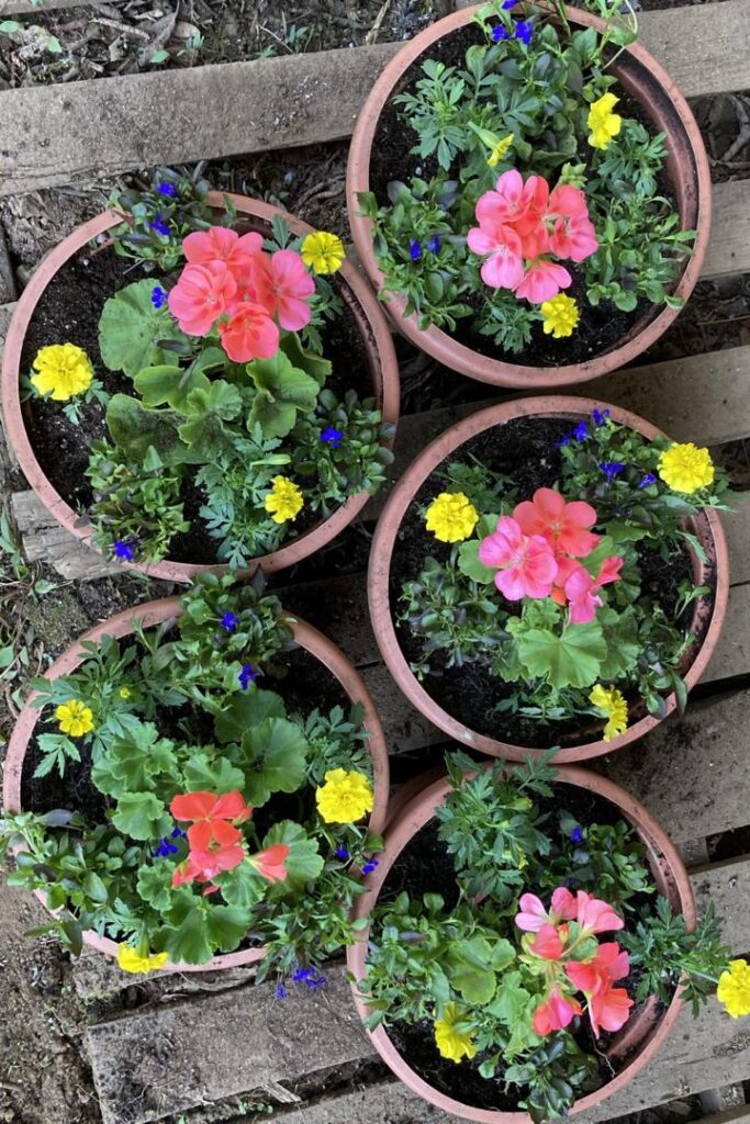 garden containers