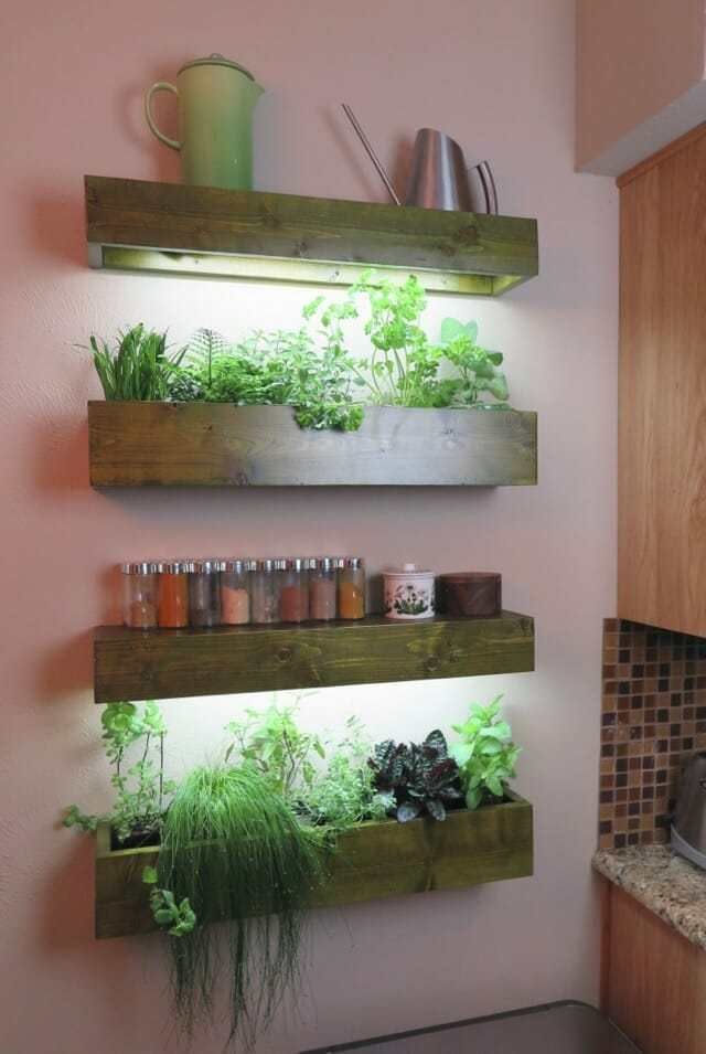 The Beauty of Growing Fresh Herbs Indoors