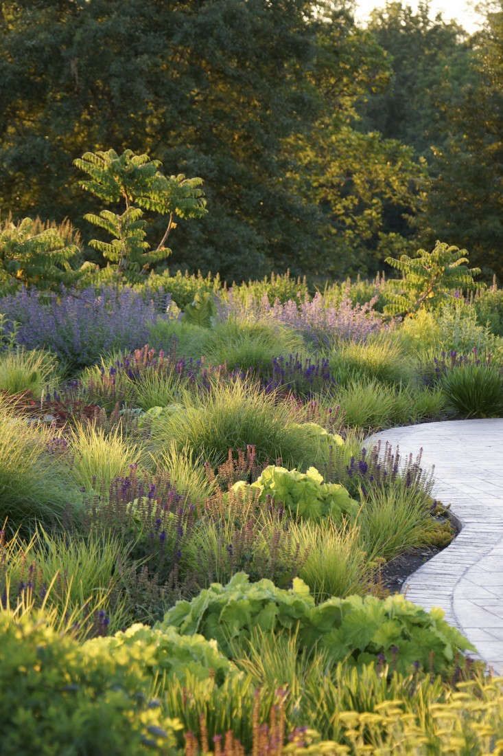 The Beauty of Landscape Gardens