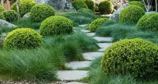 landscaping rocks