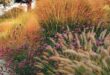 landscaping with ornamental grasses