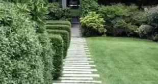 garden path