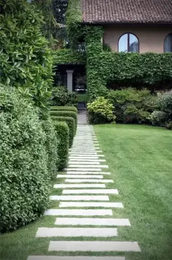 The Beauty of Meandering Paths in a Garden