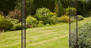 metal garden arches