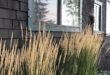 landscaping with ornamental grasses