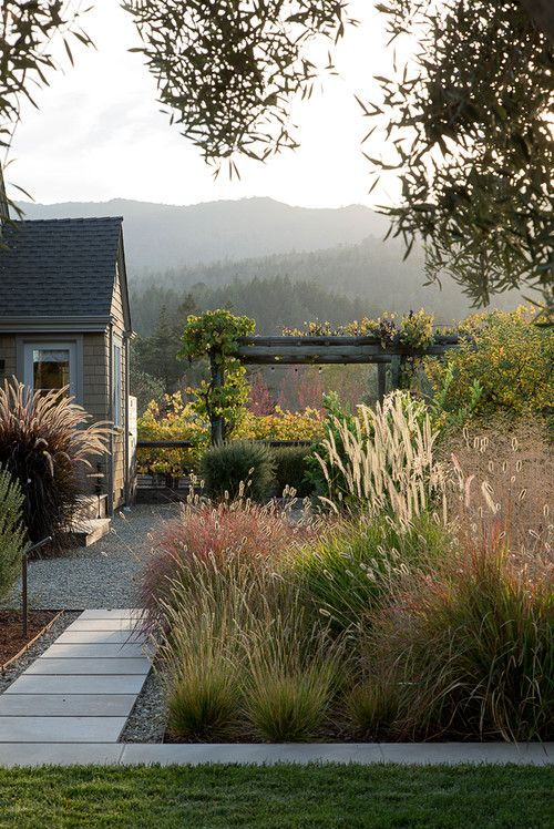 The Beauty of Ornamental Grasses in Landscaping