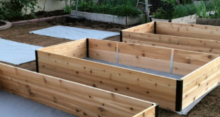 raised bed gardens