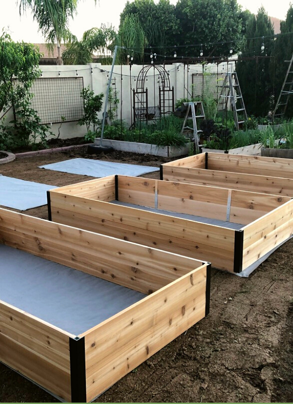 The Beauty of Raised Bed Gardens: A Gardening Technique worth Considering