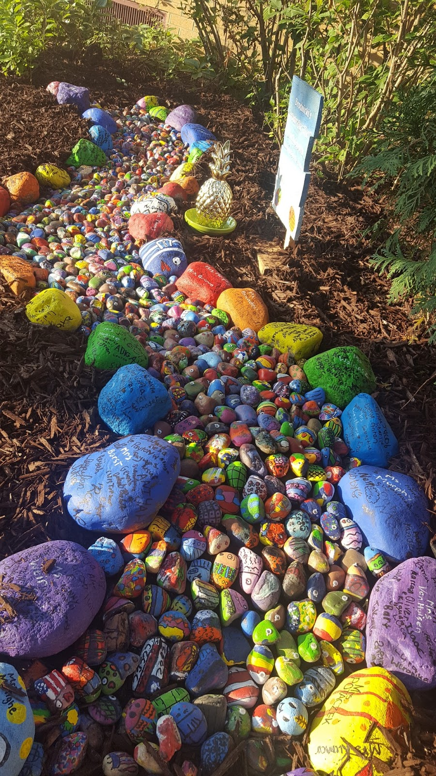 The Beauty of Rock Gardens: A Natural
Oasis