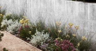 landscaping designs