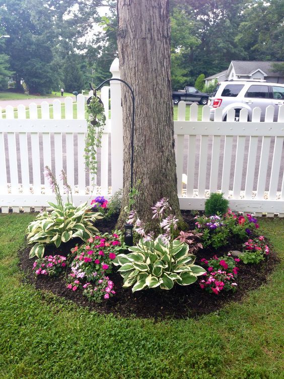 flowers around tree front yards