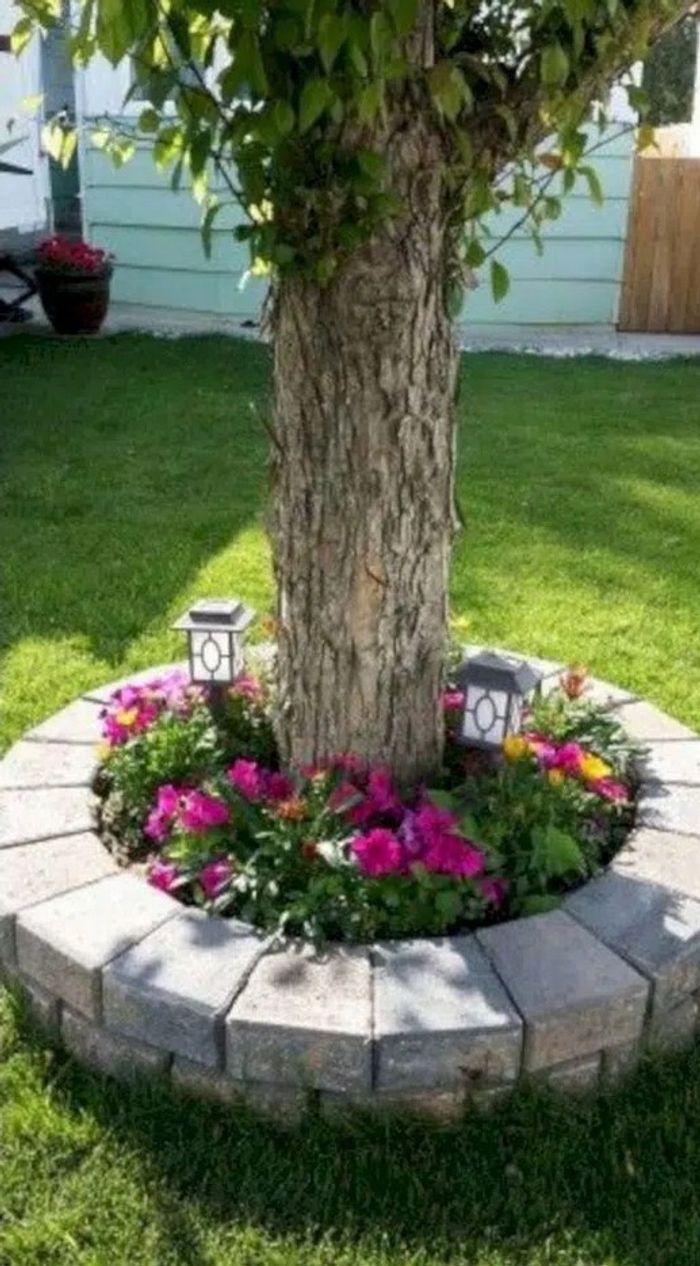 The Beauty of Tree Front Yards Abloom with Flowers