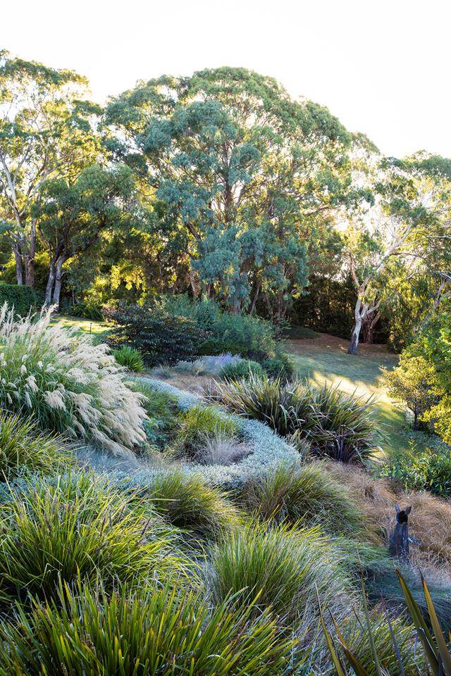 The Beauty of Trees in Garden Design