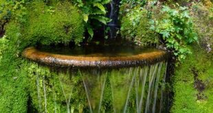 water gardens