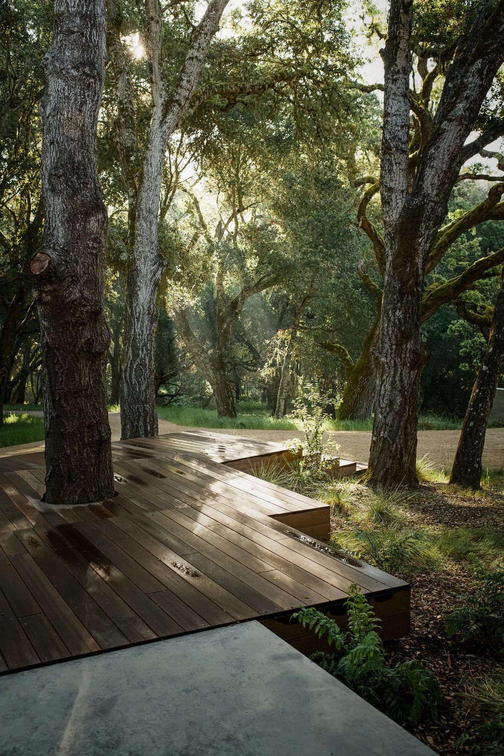 The Beauty of Wooden Decks: Enhancing Outdoor Spaces with Natural Elegance