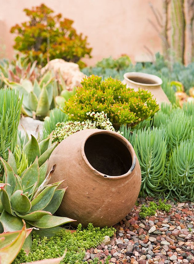 The Beauty of Xeriscape Landscaping: Creating an Eco-Friendly Garden Without Sacrificing Style