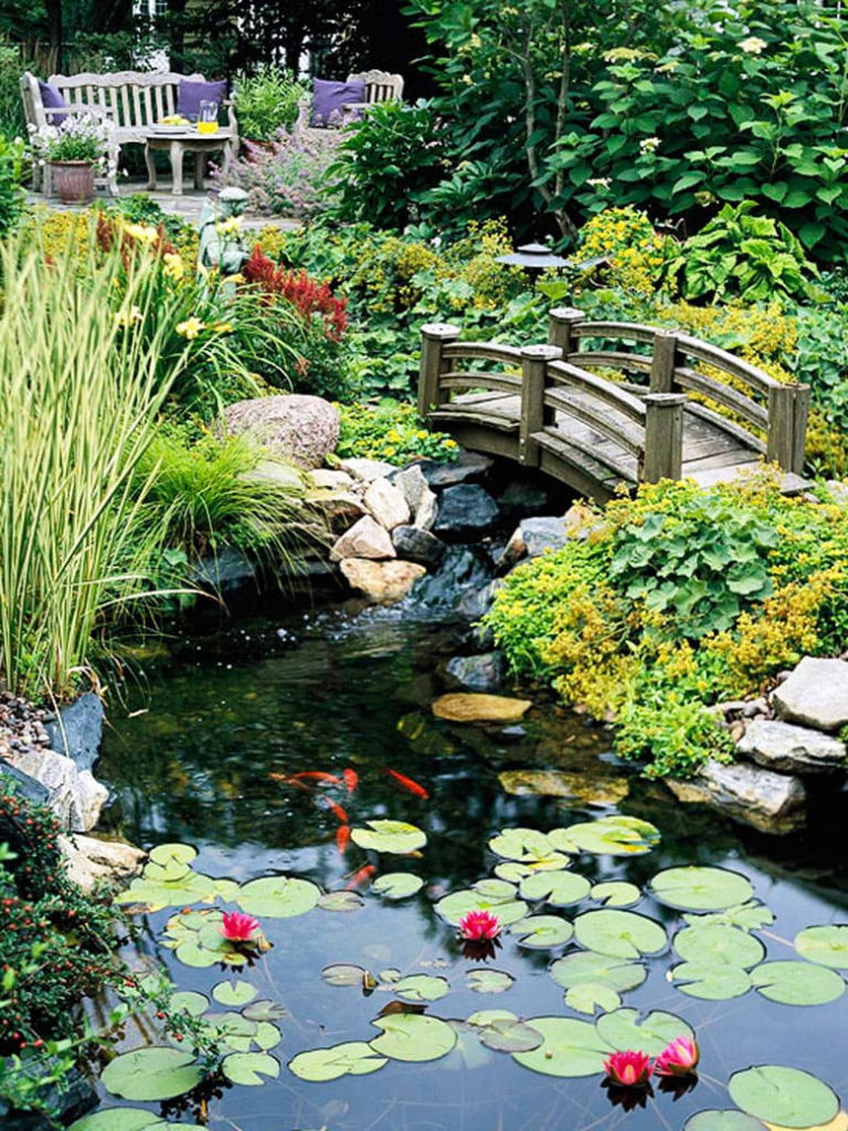 garden pond