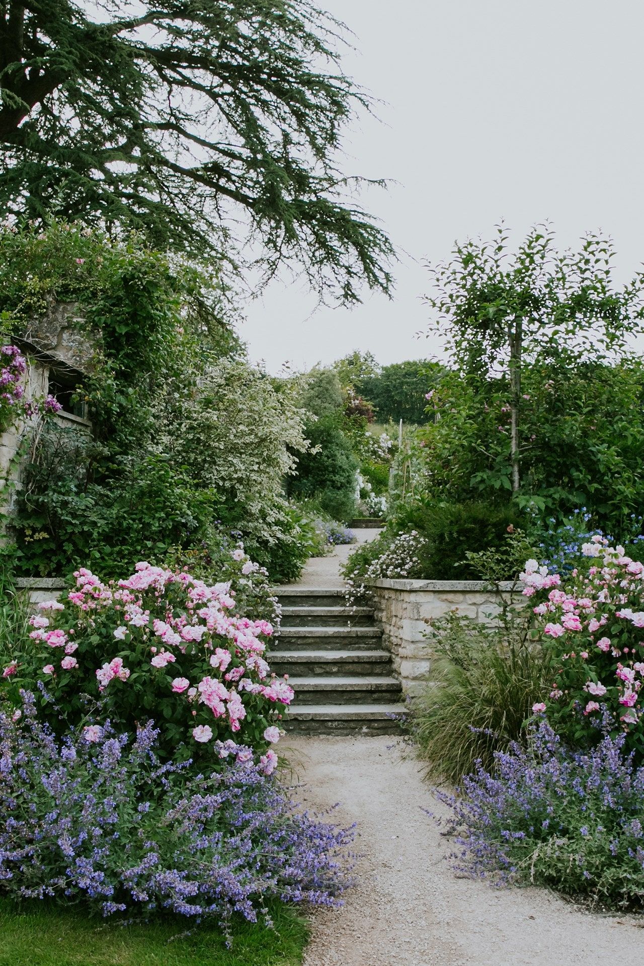 The Beauty of a Lush Garden Landscape