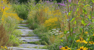 garden path