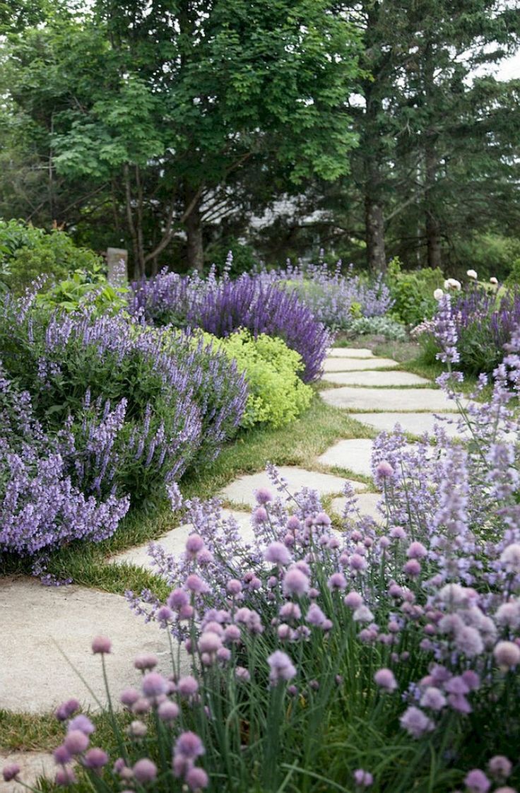 The Beauty of a Meandering Garden Trail