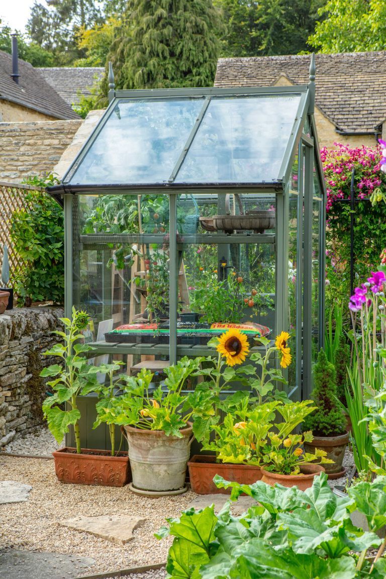 The Benefits of Having a Greenhouse in Your Garden