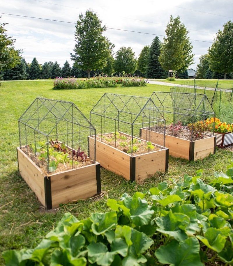 The Benefits of Raised Bed Gardens: A Gardening Solution for All