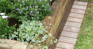 raised bed gardens