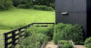 raised bed gardens