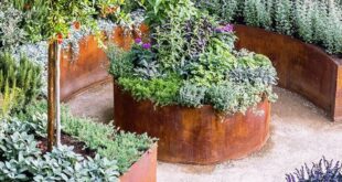 raised bed gardens