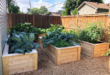 raised bed gardens