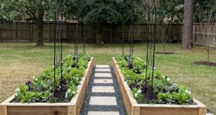 raised bed gardens