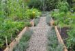 raised bed gardens