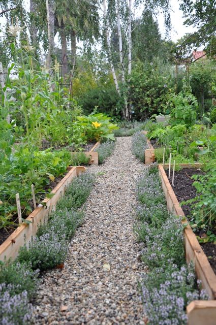 The Benefits of Raised Bed Gardens for Your Plants and Garden Area