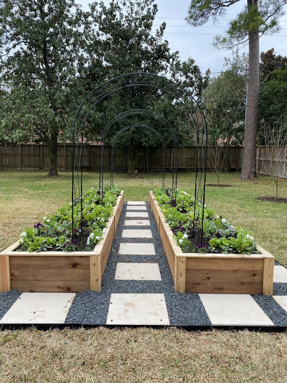 The Benefits of Raised Bed Gardens for Your Plants