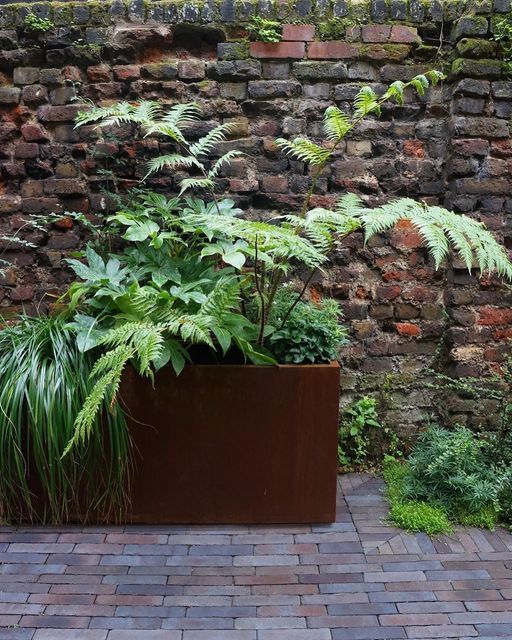 The Benefits of Using Garden Planter Troughs for Your Plants