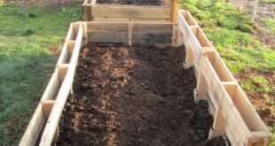 pallet raised garden bed