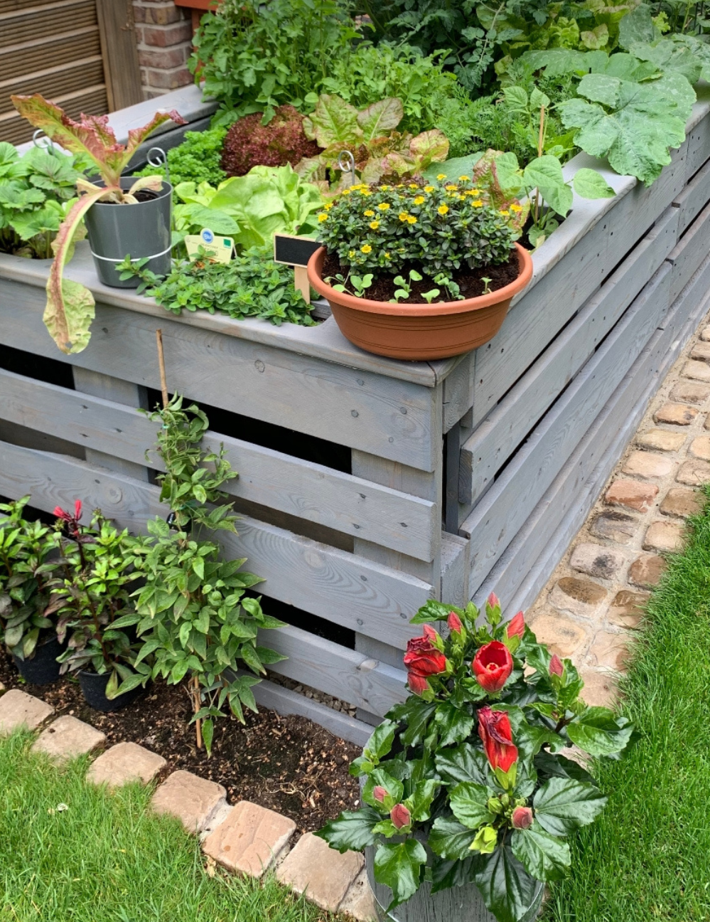 The Benefits of Using Pallets for Raised Garden Beds