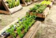 pallet raised garden bed