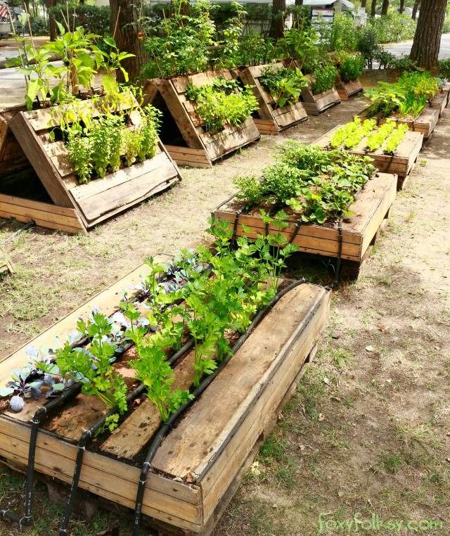 pallet raised garden bed