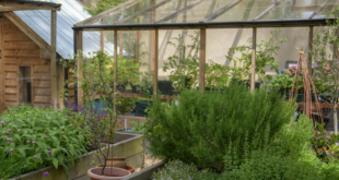 garden greenhouse