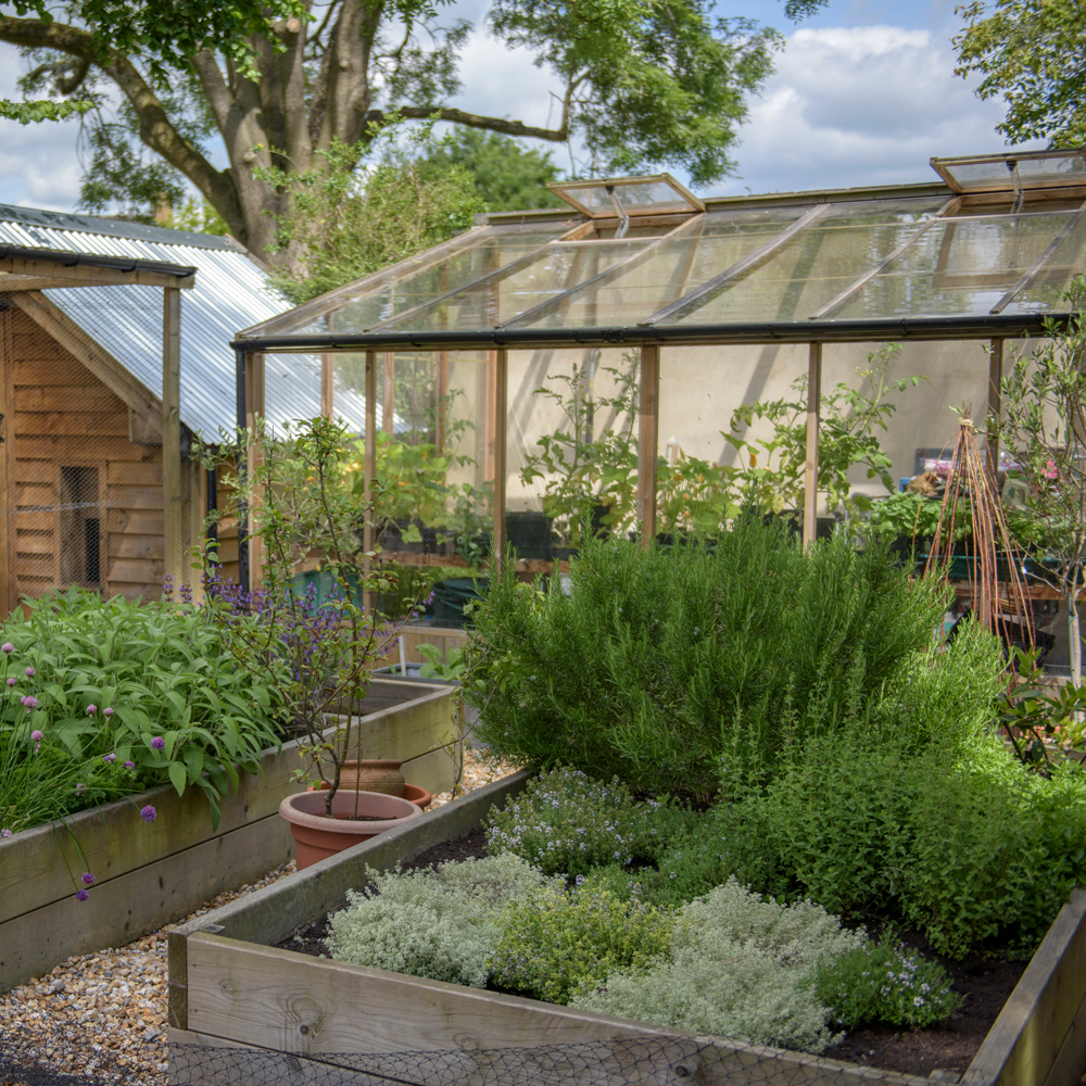 The Benefits of a Garden Greenhouse