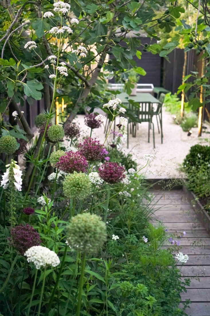 The Charm of Compact Gardens: Making the Most of Limited Space