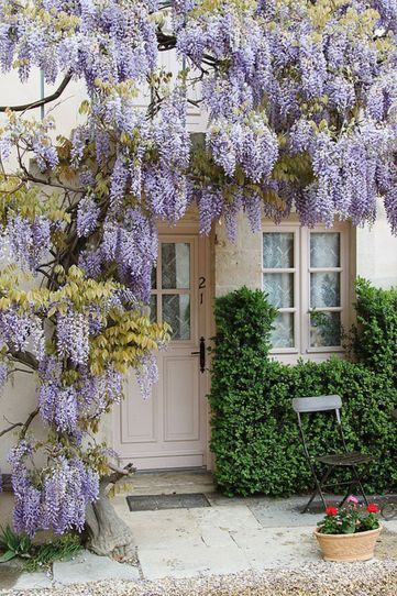 The Charm of Cottage Garden Design