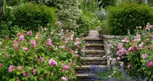 cottage garden design