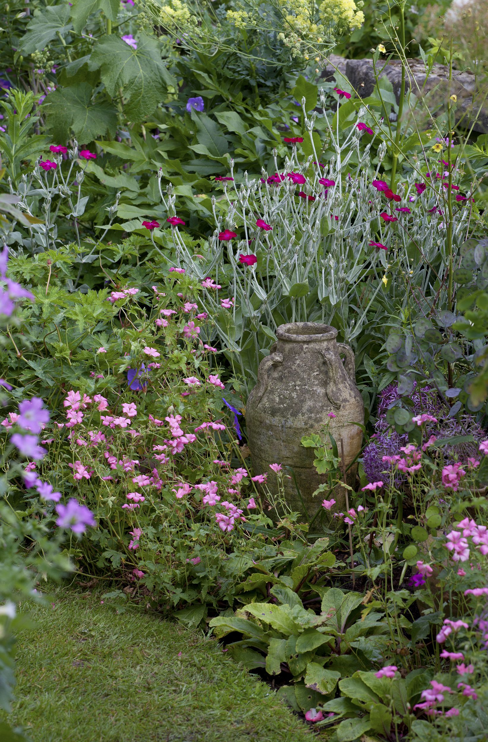 The Charm of Cottage Gardens: A vision of natural beauty